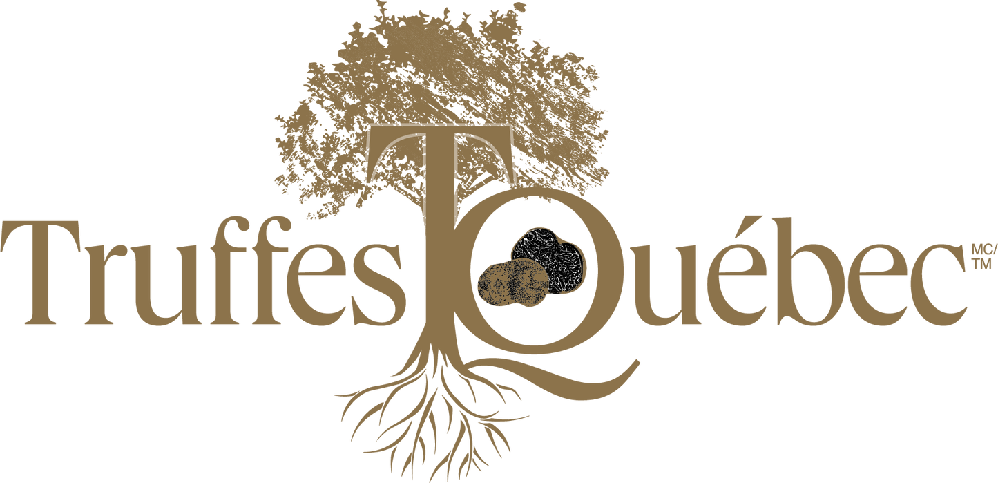 Orchards Legacy Bianchetto Truffle Hazelnut Tree