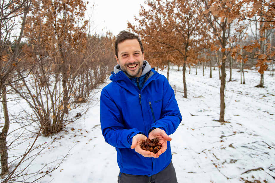 Orchards Legacy Pecan Truffle Hazelnut Tree